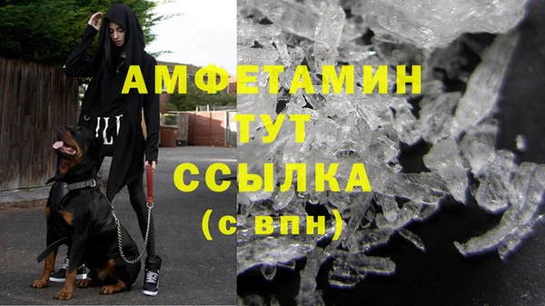 дмт Абаза