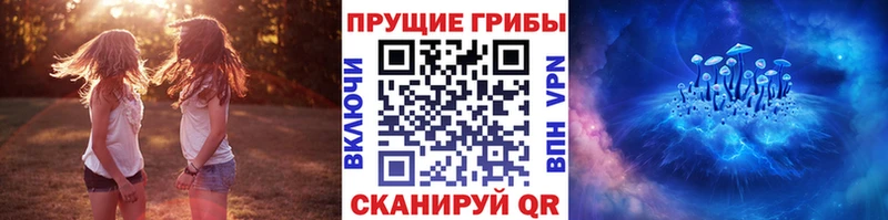 Галлюциногенные грибы мухоморы Старая Русса