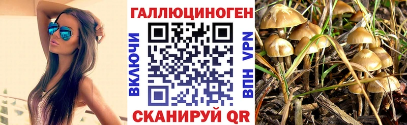 хочу   Старая Русса  Псилоцибиновые грибы ЛСД 