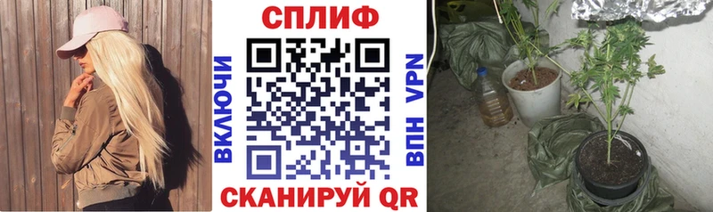 цена Старая Русса Канабис план